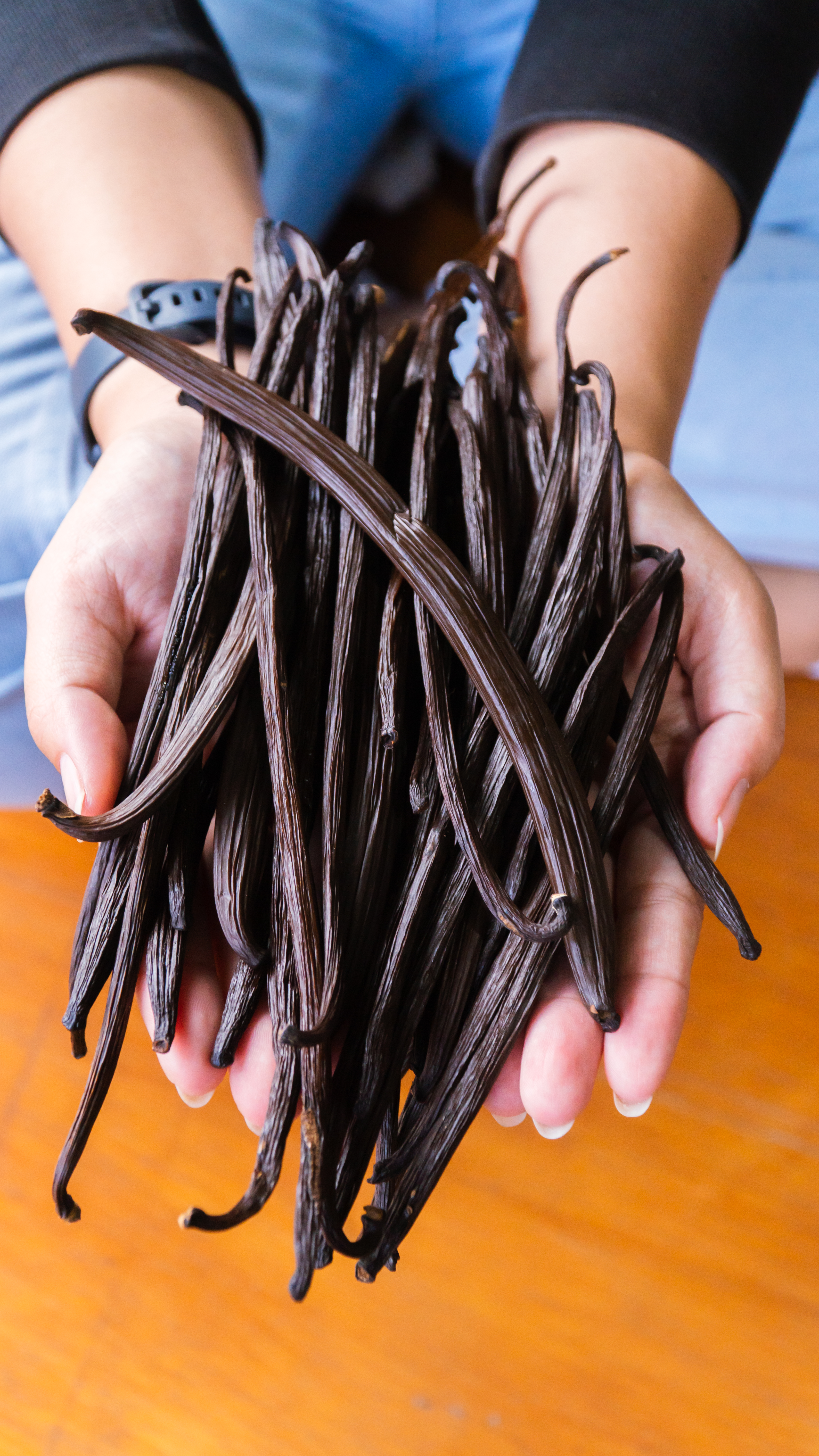 vanilla